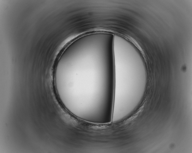 X0000099411133200805090721