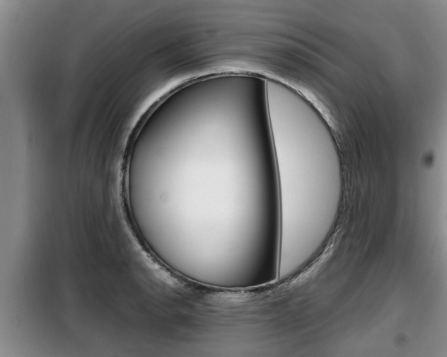 X0000099411134200805090721