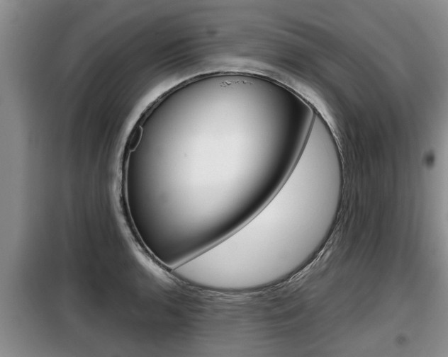 X0000099411136200805090721