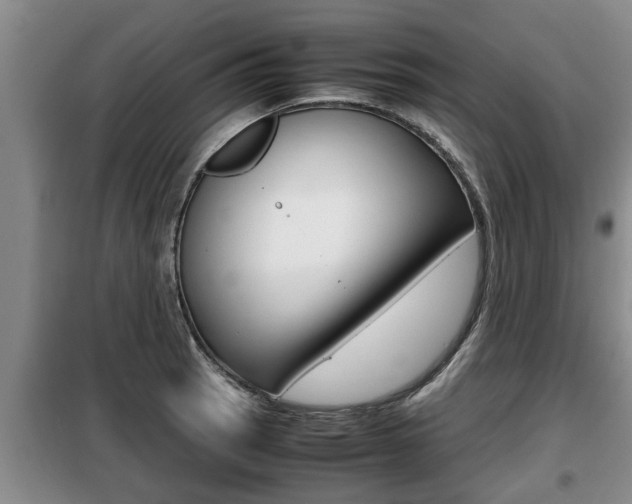 X0000099411137200805090721