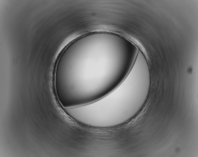 X0000099411138200805090721