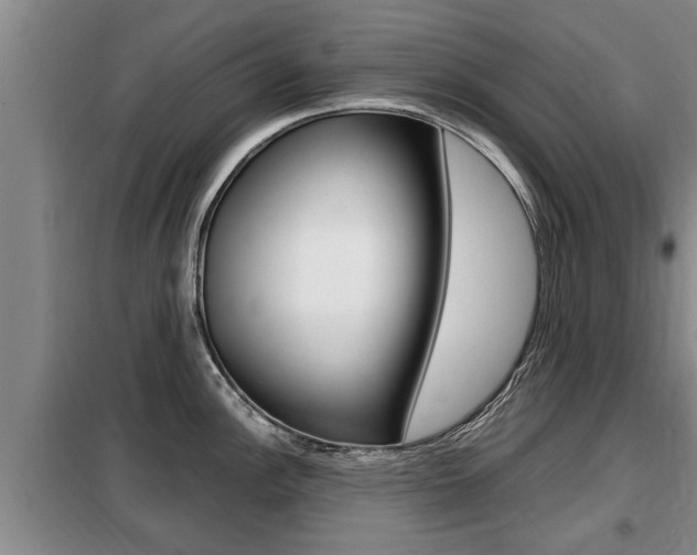 X0000099411148200805090721