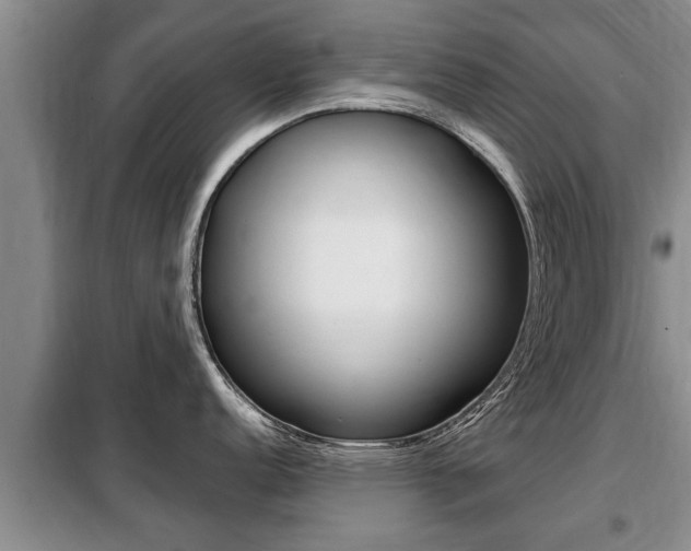 X0000099411152200805090721