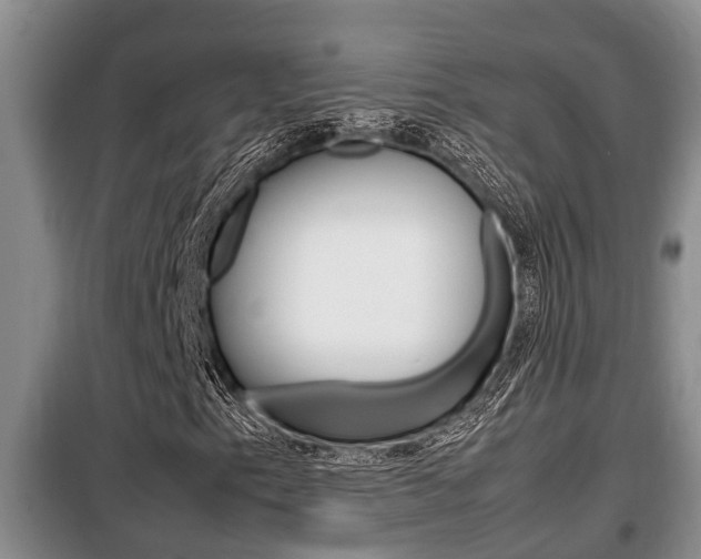 X0000099411153200805090721