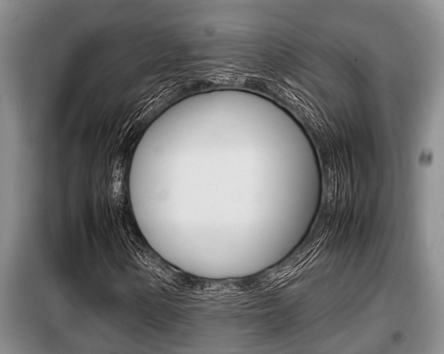 X0000099411154200805090720