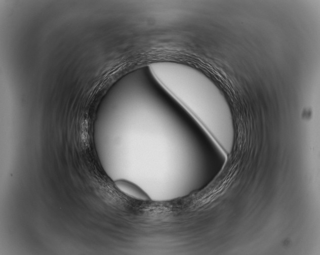 X0000099411156200805090720