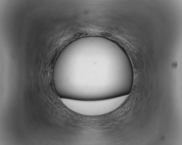 X0000099411157200805090720