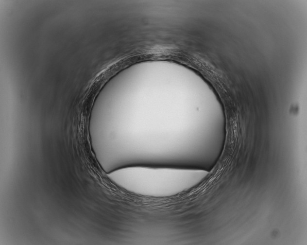 X0000099411158200805090720
