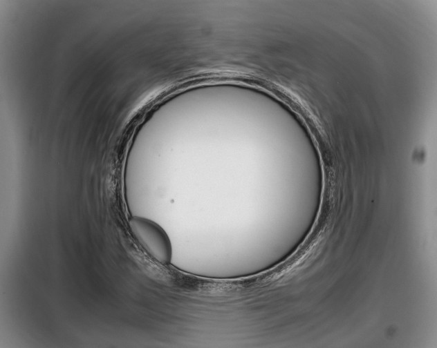 X0000099411163200805090720