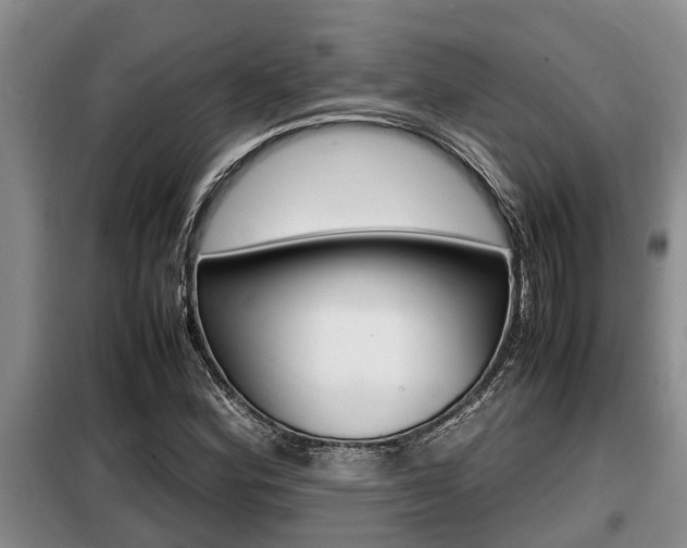 X0000099411164200805090720