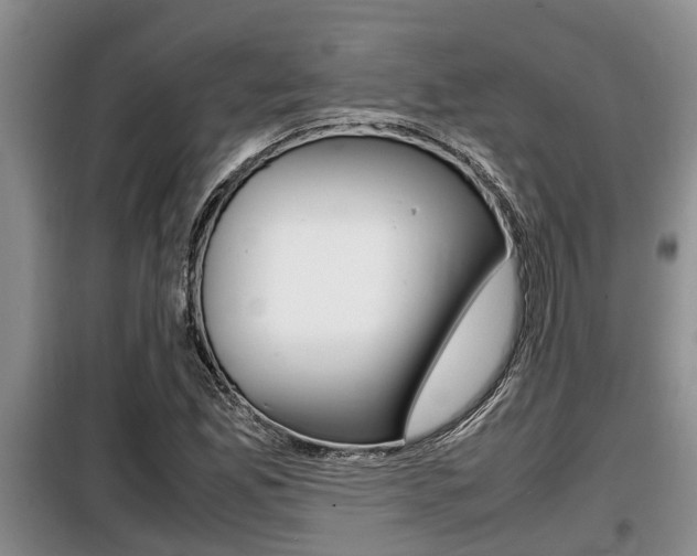 X0000099411165200805090720