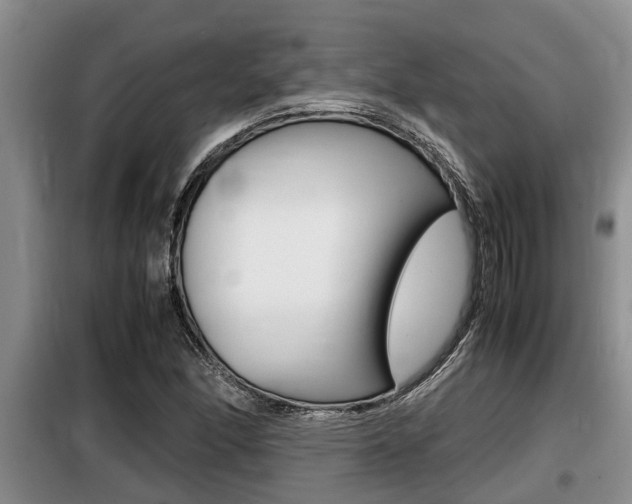 X0000099411166200805090720