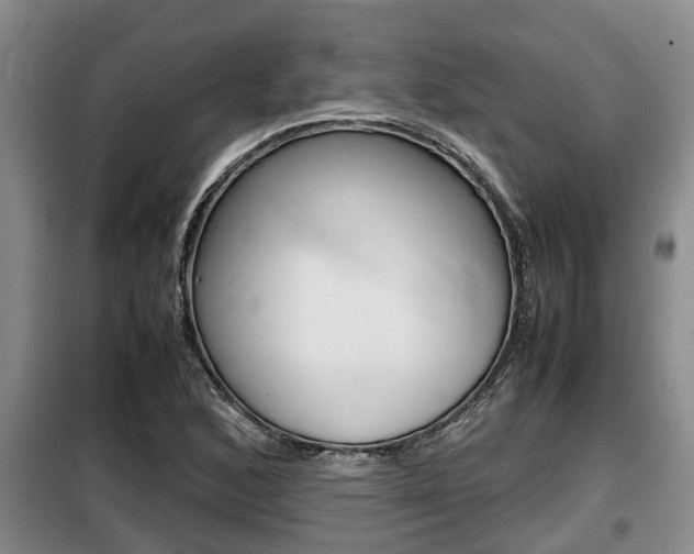 X0000099411168200805090720