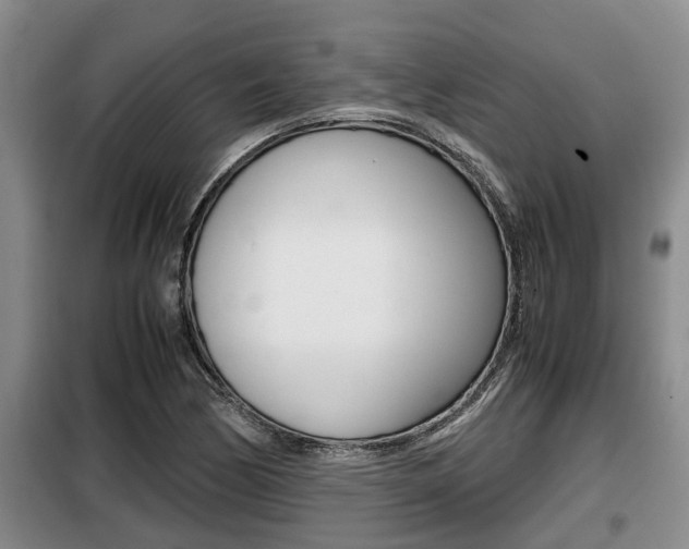 X0000099411170200805090720
