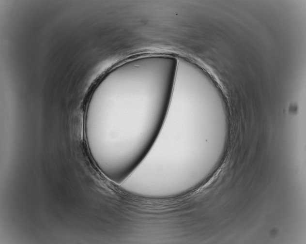 X0000099411171200805090720