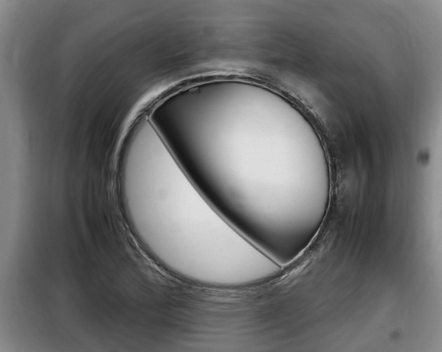 X0000099411172200805090720