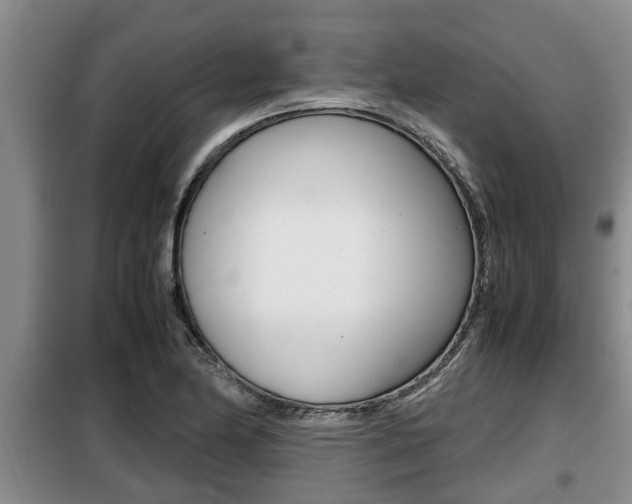 X0000099411174200805090720