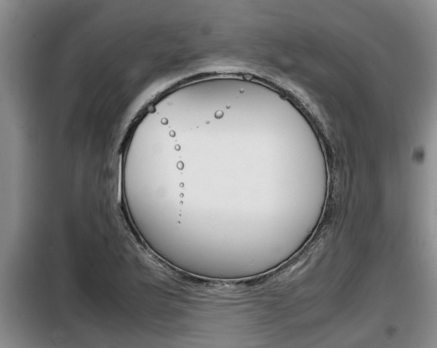 X0000099411175200805090720