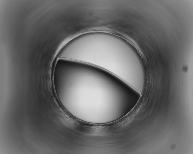 X0000099411176200805090720