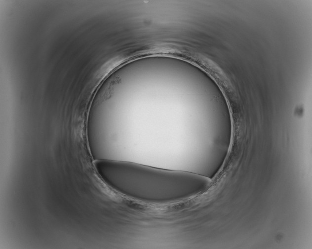 X0000099411177200805090720