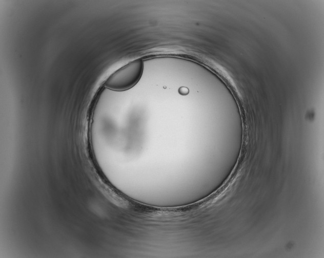 X0000099411179200805090720