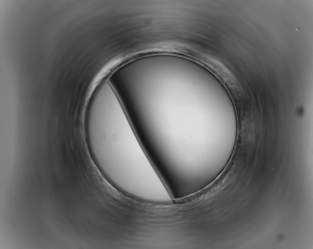 X0000099411180200805090720