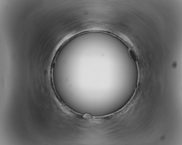 X0000099411181200805090720