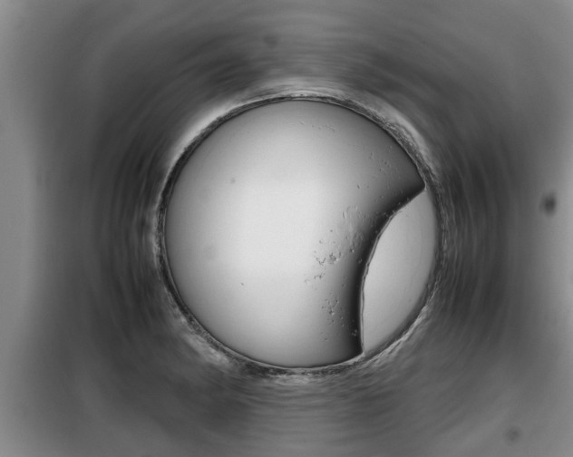 X0000099411182200805090720
