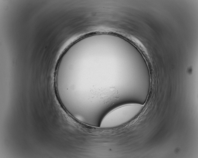 X0000099411183200805090720