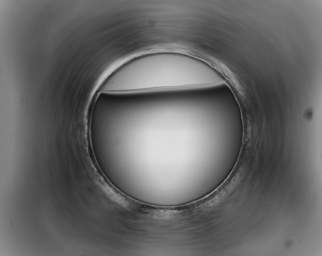 X0000099411184200805090720