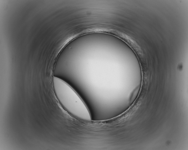 X0000099411185200805090720