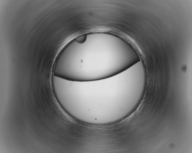X0000099411186200805090720