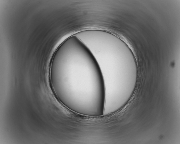 X0000099411187200805090720