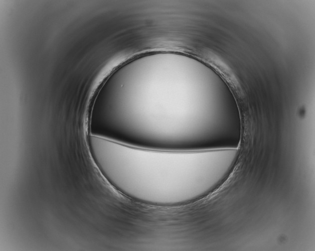 X0000099411188200805090720