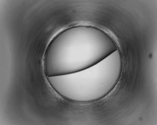 X0000099411190200805090720