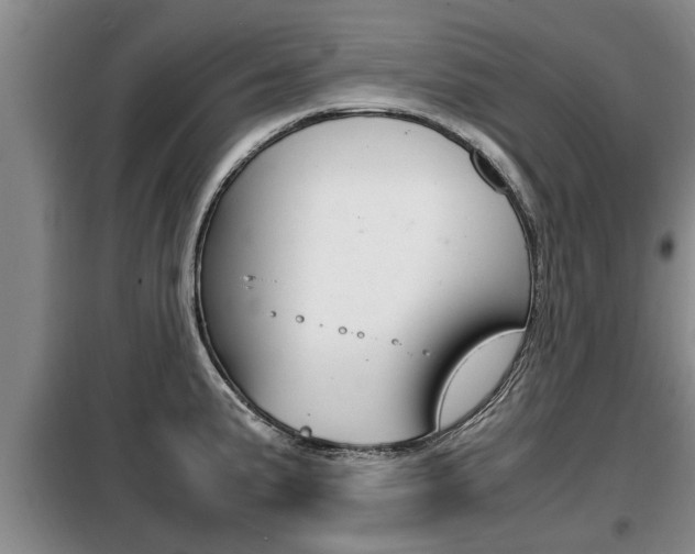 X0000099411191200805090720