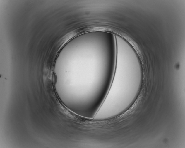 X0000099411193200805090720