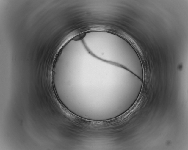 X0000099411194200805090720