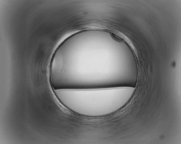 X0000099411195200805090720