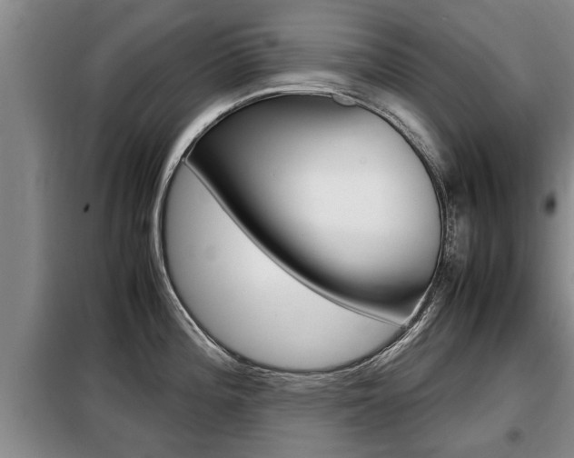 X0000099411196200805090720