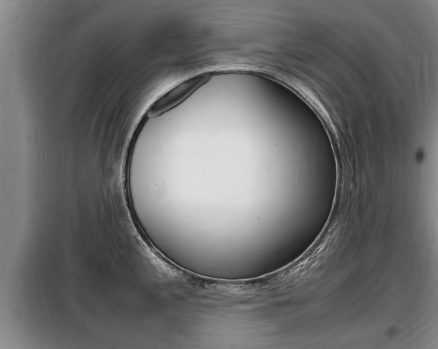 X0000099411197200805090720