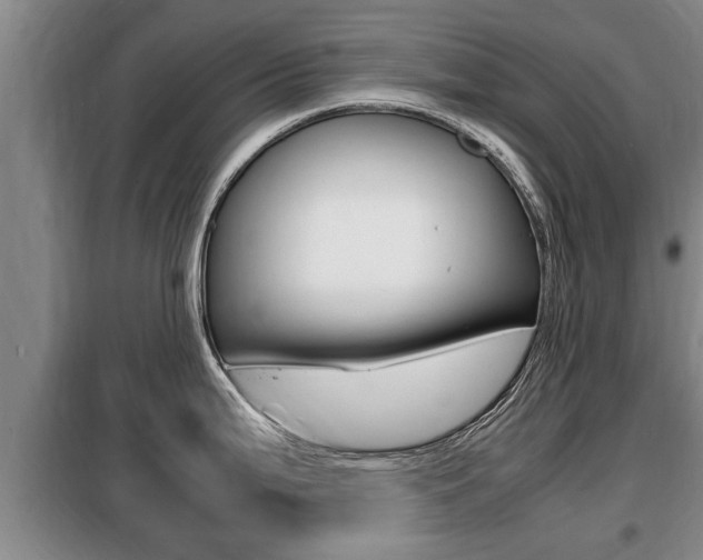 X0000099411199200805090720