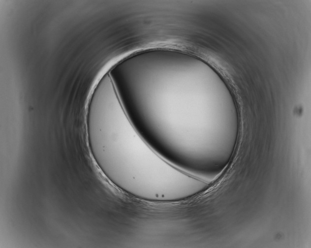 X0000099411200200805090720