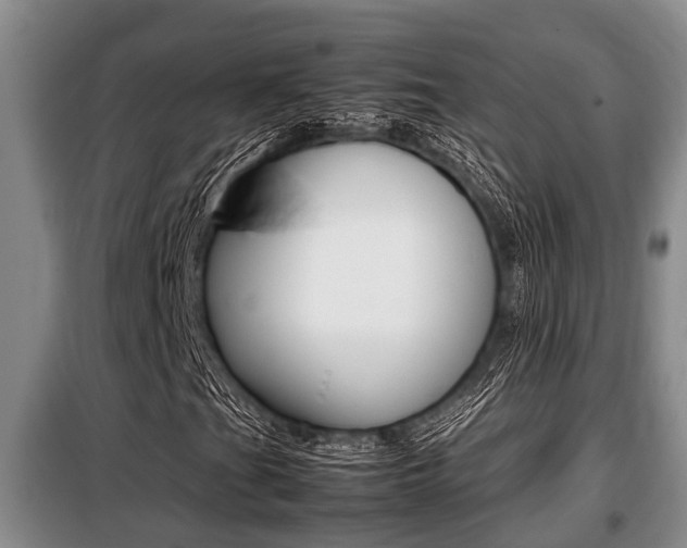 X0000099411201200805090719