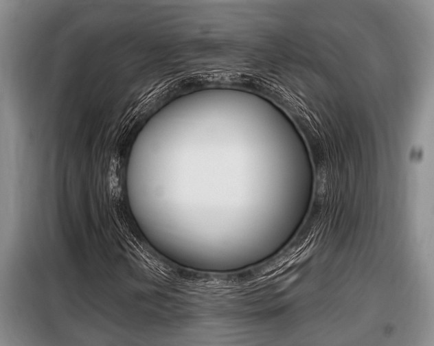 X0000099411202200805090719