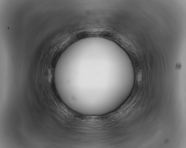 X0000099411204200805090719