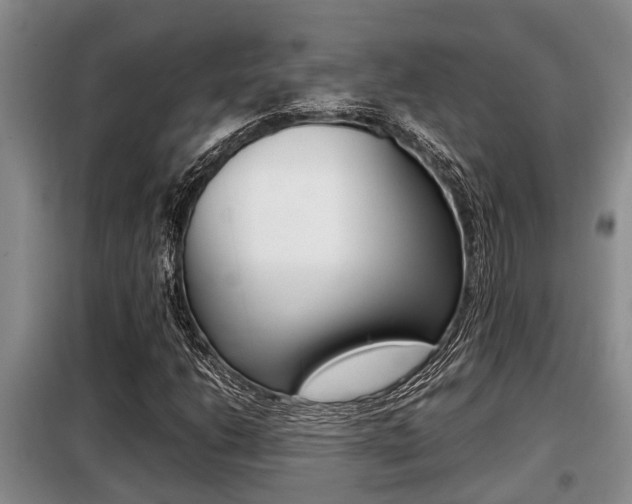 X0000099411206200805090719