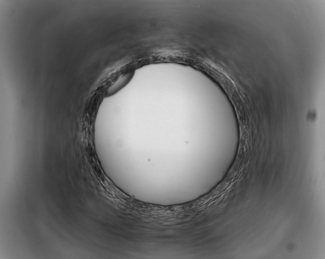 X0000099411207200805090719