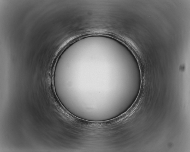 X0000099411212200805090719