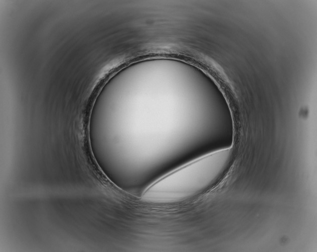 X0000099411218200805090719
